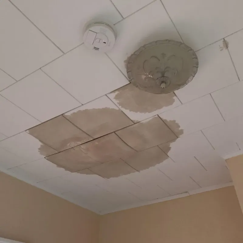 Ceiling Water Damage Repair in Red Oak, IA