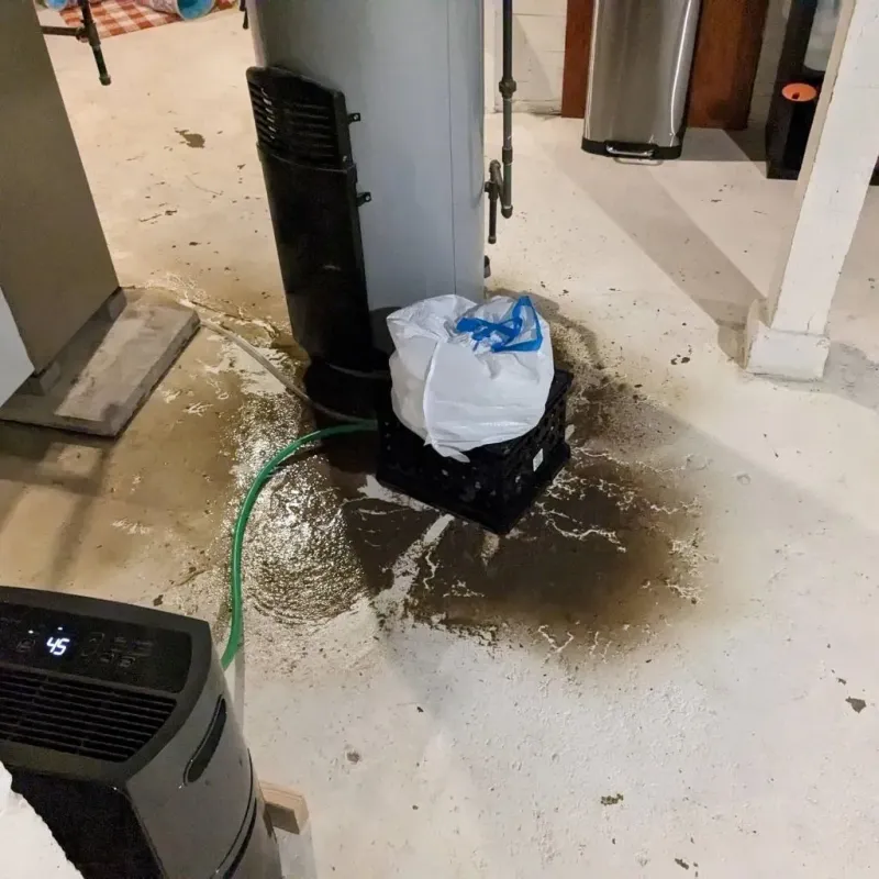 Sewage Backup Cleanup Service in Red Oak, IA